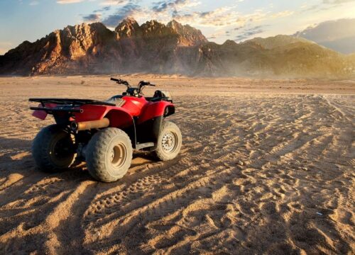 Private Family buggy safari