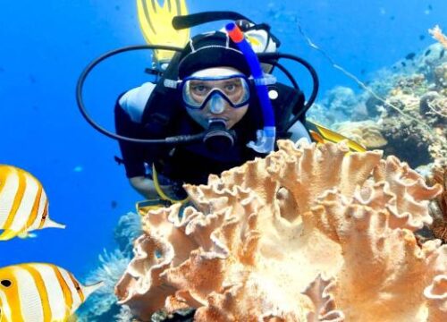 Scuba Diving