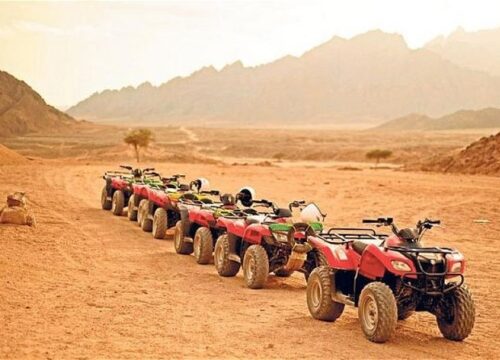 Family Safari Evening