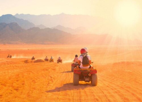 Evening Quad Bike Safari