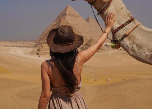 Cairo Economy Tour– By Bus