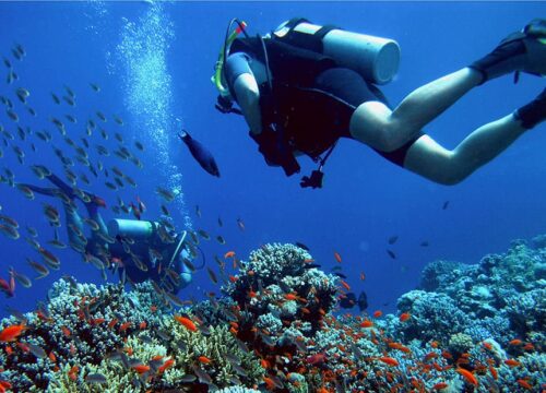 Intro Diving & Snorkeling Tour with Lunch & Drinks