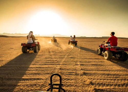 Morning Quad Bike Safari