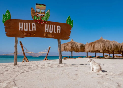 Hula Hula Island ( Deluxe trip )