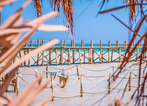 Orange Bay Island & diving