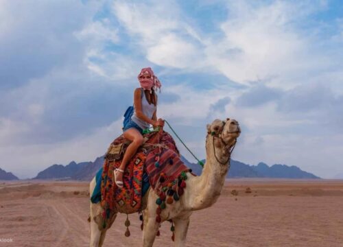 Family Safari Morning with Bedouin Village